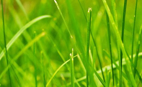 电话轰在线轰炸免费